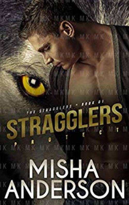 Cover of the book The Stragglers by Misha Anderson, Misha Anderson
