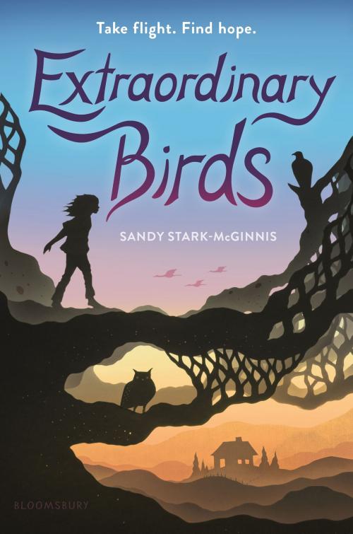 Cover of the book Extraordinary Birds by Sandy Stark-McGinnis, Bloomsbury Publishing
