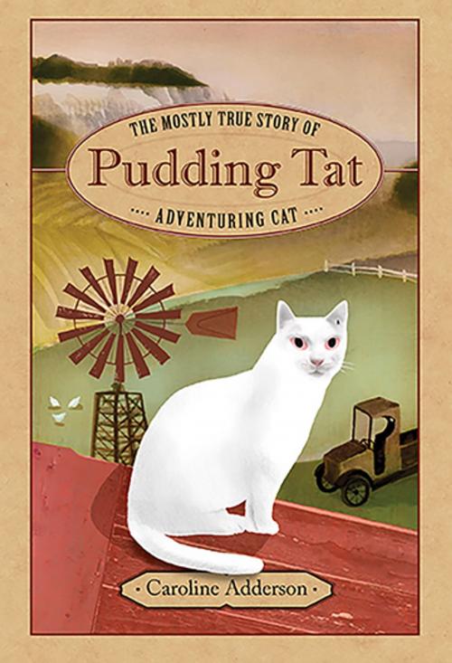 Cover of the book The Mostly True Story of Pudding Tat, Adventuring Cat by Caroline Adderson, Groundwood Books Ltd