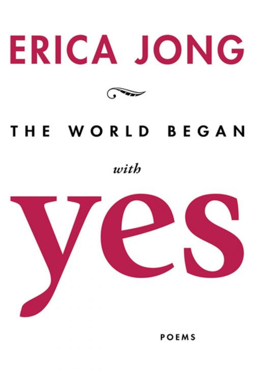 Cover of the book The World Began With Yes by Erica Jong, Red Hen Press