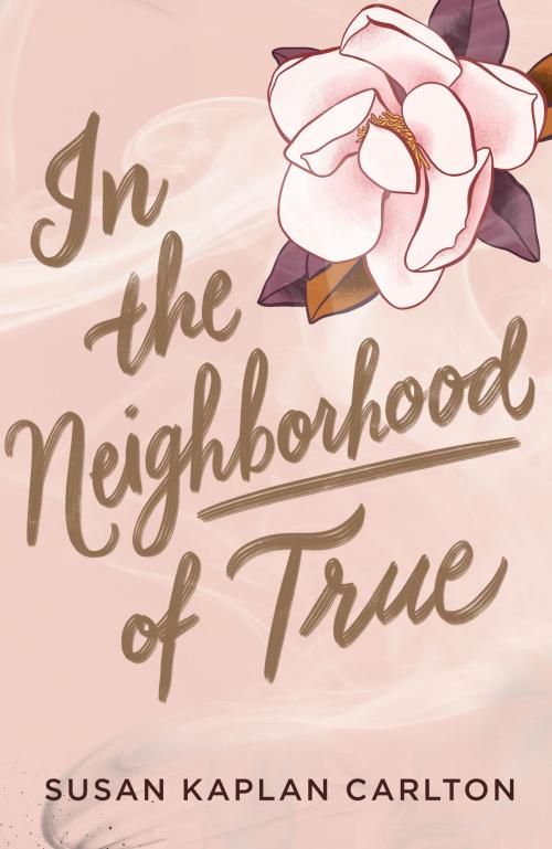 Cover of the book In the Neighborhood of True by Susan Kaplan Carlton, Algonquin Books