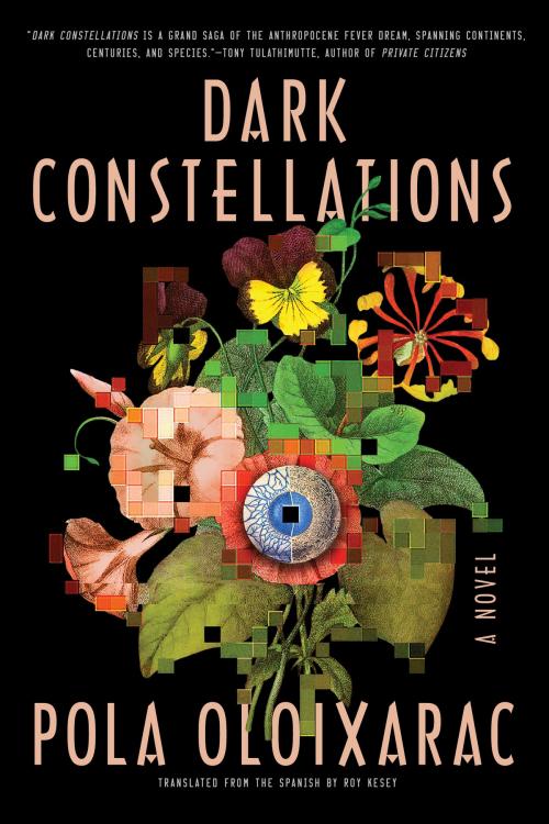 Cover of the book Dark Constellations by Pola Oloixarac, Soho Press