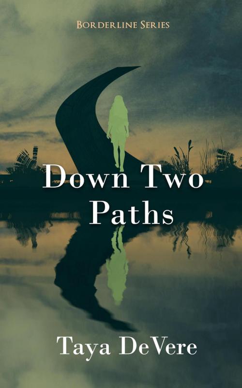 Cover of the book Down Two Paths by Taya DeVere, Evolved Publishing LLC