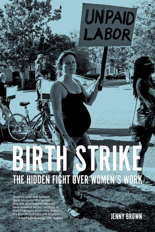 Cover of the book Birth Strike by Jenny Brown, Pm Press