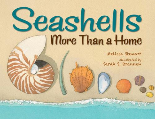 Cover of the book Seashells by Melissa Stewart, Charlesbridge