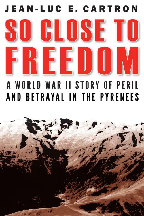 Cover of the book So Close to Freedom by Jean-Luc E. Cartron, Potomac Books