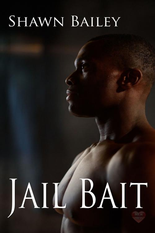 Cover of the book Jailbait by Shawn Bailey, MLR Press