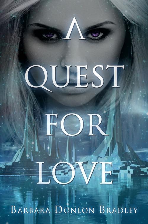 Cover of the book A Quest for Love by Barbara Donlon Bradley, Melange Books, LLC