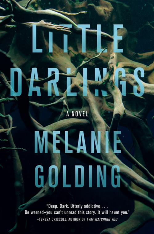 Cover of the book Little Darlings by Melanie Golding, Crooked Lane Books