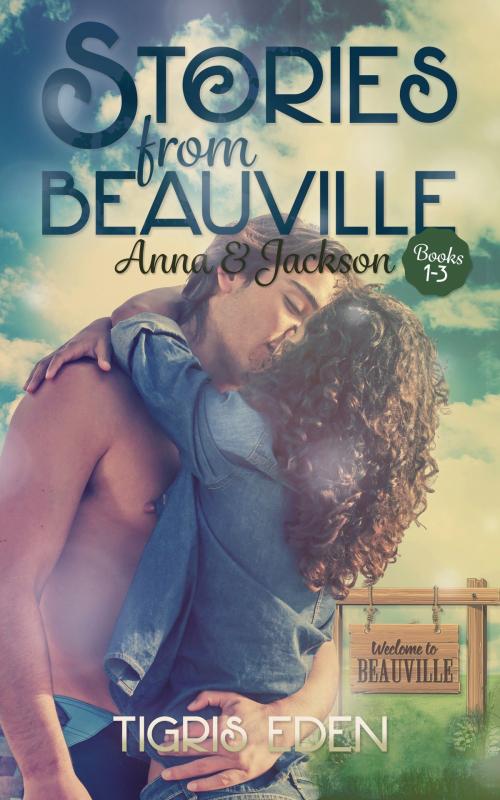 Cover of the book Stories from Beauville Boxed Set by Tigris Eden, JK Rivers