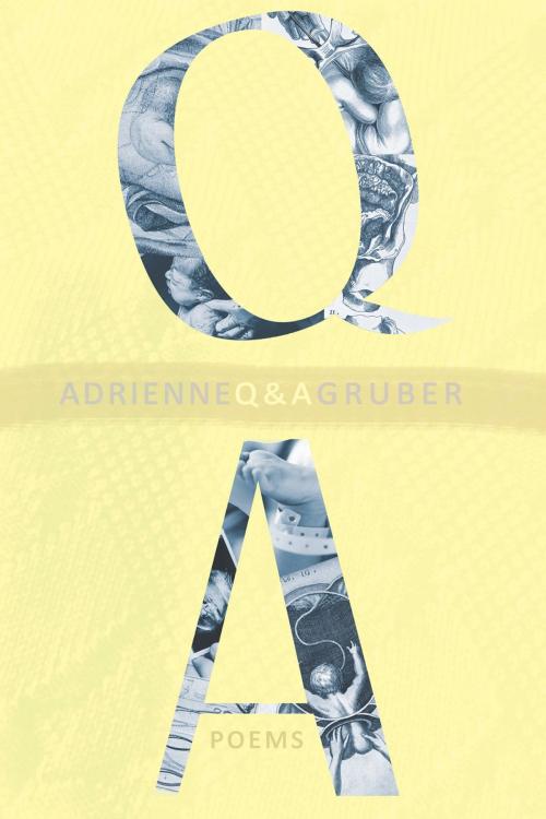 Cover of the book Q & A by Adrienne Gruber, BookThug