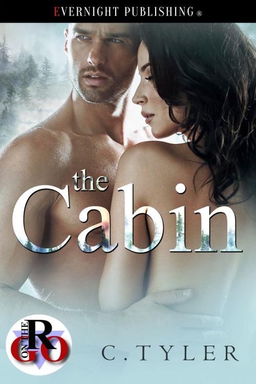 Cover of the book The Cabin by C. Tyler, Evernight Publishing