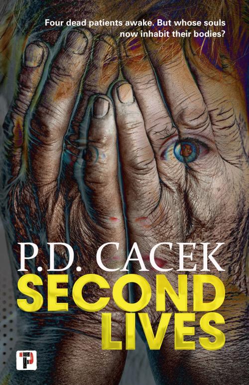 Cover of the book Second Lives by P.D. Cacek, Flame Tree Publishing