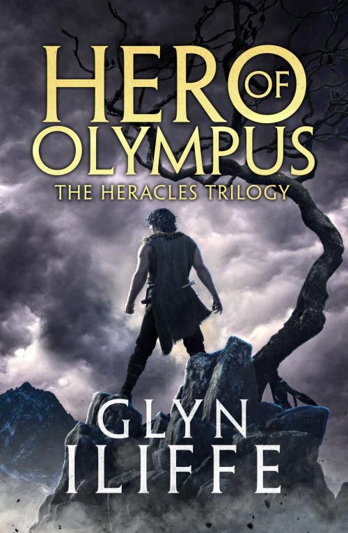 Cover of the book Hero of Olympus by Glyn Iliffe, Canelo