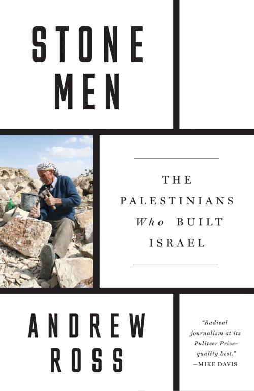 Cover of the book Stone Men by Andrew Ross, Verso Books