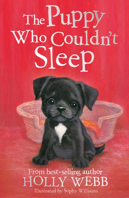 Cover of the book The Puppy Who Couldn't Sleep by Holly Webb, Stripes Publishing