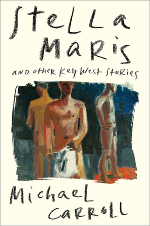 Cover of the book Stella Maris by Michael Carroll, Turtle Point Press