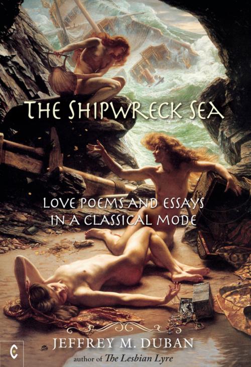 Cover of the book The Shipwreck Sea by Jeffrey M. Duban, Rudolf Steiner Press