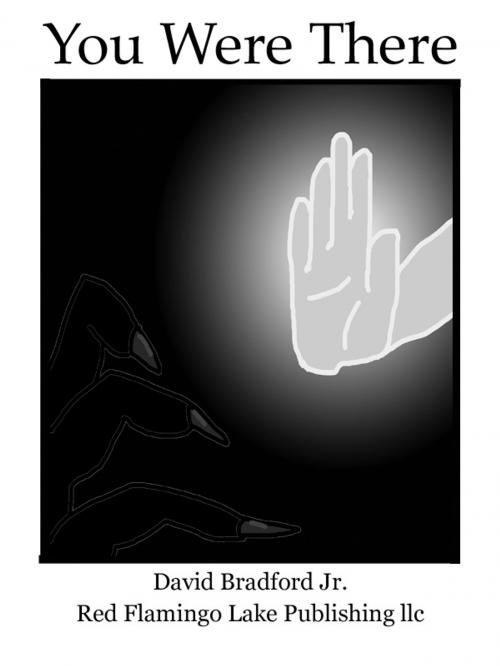 Cover of the book You Were There by David Bradford Jr., Red Flamingo Lake Publishing llc