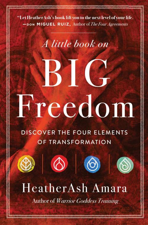 Cover of the book A Little Book on Big Freedom by HeatherAsh Amara, Hierophant Publishing