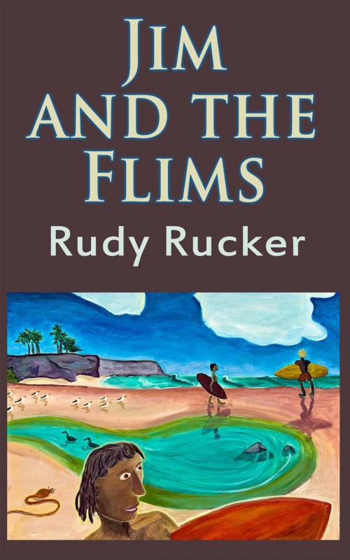 Cover of the book Jim and the Flims by Rudy Rucker, Transreal Books