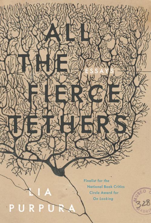 Cover of the book All the Fierce Tethers by Lia Purpura, Sarabande Books