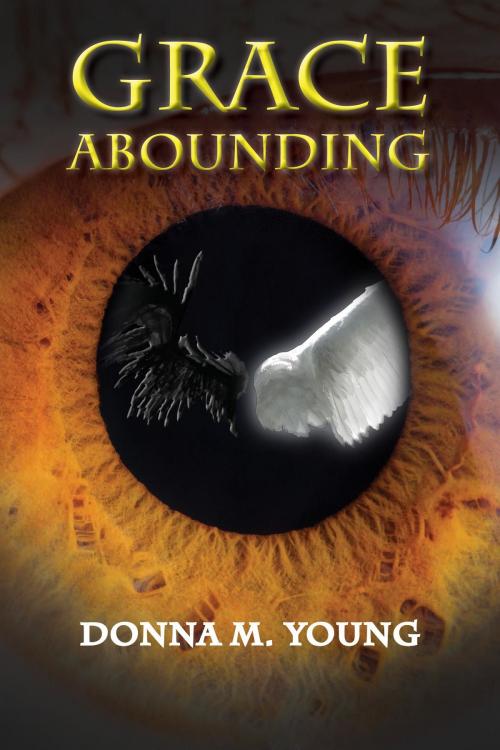 Cover of the book Grace Abounding by Donna  M. Young, Donna M. Young