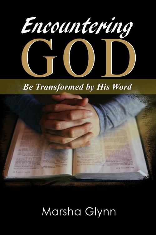 Cover of the book Encountering God by Marsha Glynn, Lettra Press LLC