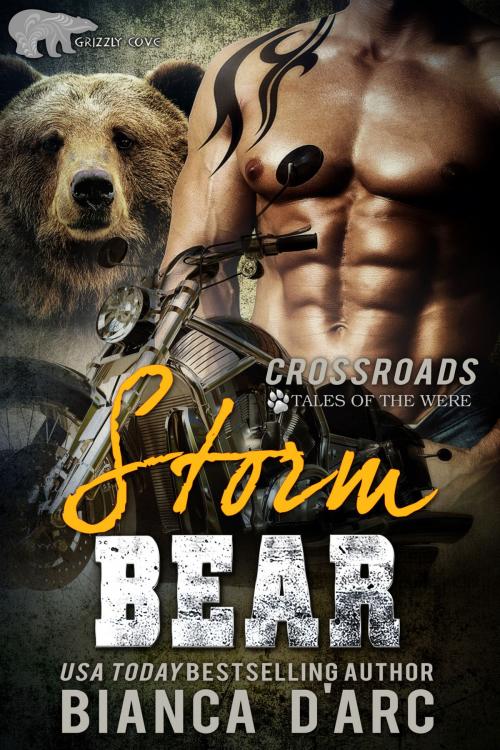 Cover of the book Storm Bear by Bianca D'Arc, Hawk Publishing, LLC
