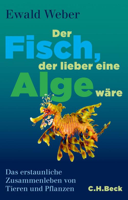 Cover of the book Der Fisch, der lieber eine Alge wäre by Ewald Weber, C.H.Beck