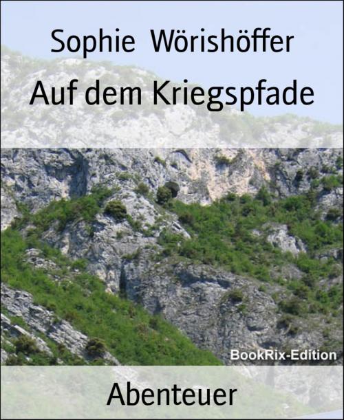 Cover of the book Auf dem Kriegspfade by Sophie Wörishöffer, BookRix