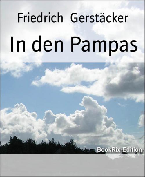Cover of the book In den Pampas by Friedrich Gerstäcker, BookRix