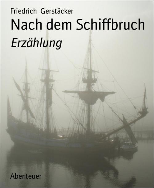 Cover of the book Nach dem Schiffbruch by Friedrich Gerstäcker, BookRix