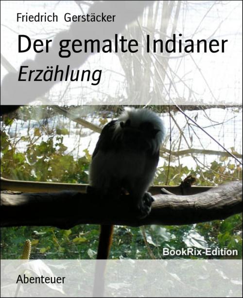 Cover of the book Der gemalte Indianer by Friedrich Gerstäcker, BookRix