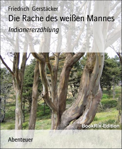 Cover of the book Die Rache des weißen Mannes by Friedrich Gerstäcker, BookRix