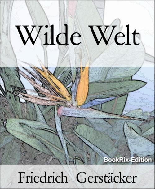 Cover of the book Wilde Welt by Friedrich Gerstäcker, BookRix