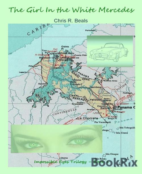 Cover of the book The Girl In the White Mercedes by Chris Beals, BookRix