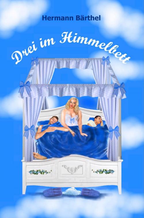 Cover of the book Drei im Himmelbett by Hermann Bärthel, epubli