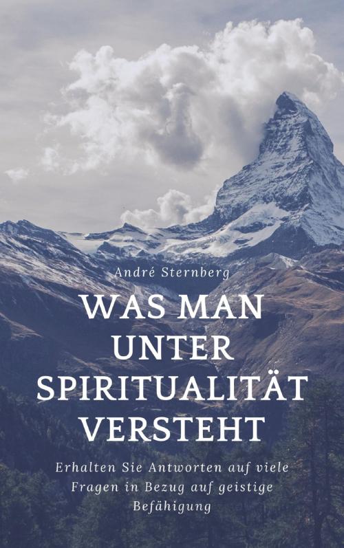 Cover of the book Was man unter Spiritualität versteht by Andre Sternberg, neobooks