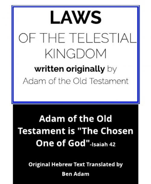 Cover of the book Laws of the Telestial Kingdom by Ben Adam, BookRix