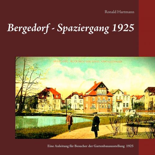 Cover of the book Bergedorf - Spaziergang 1925 by Ronald Hartmann, Books on Demand