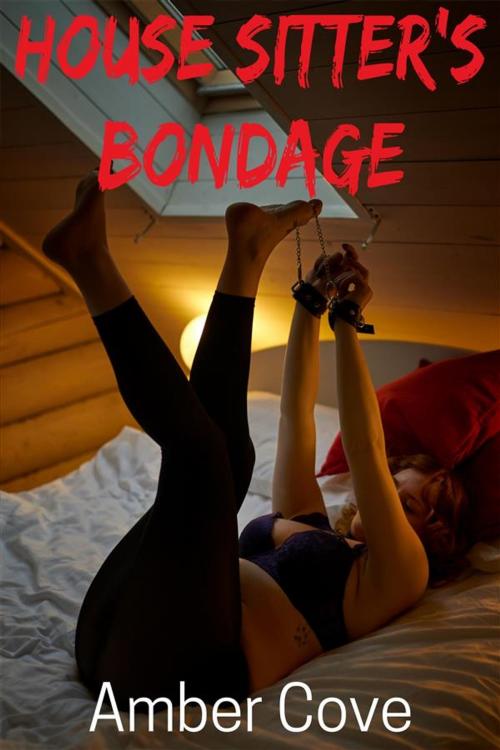 Cover of the book House Sitter’s Bondage by Amber Cove, Amber Cove