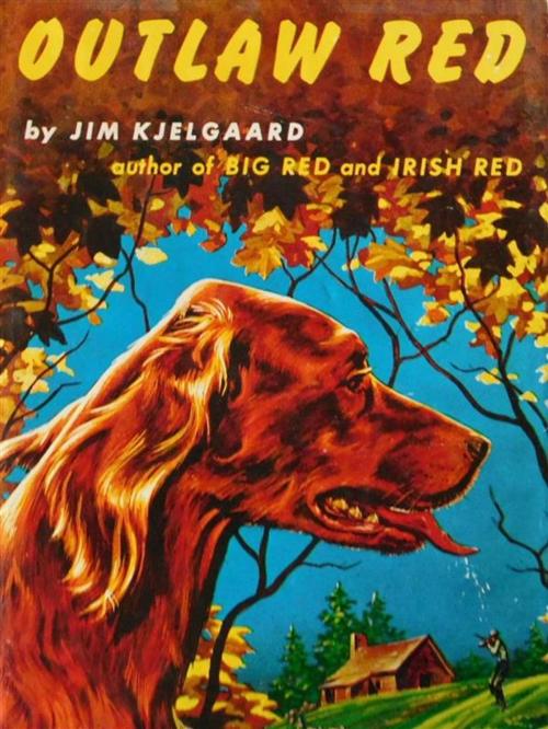 Cover of the book Outlaw Red by Jim Kjelgaard, Reading Essentials