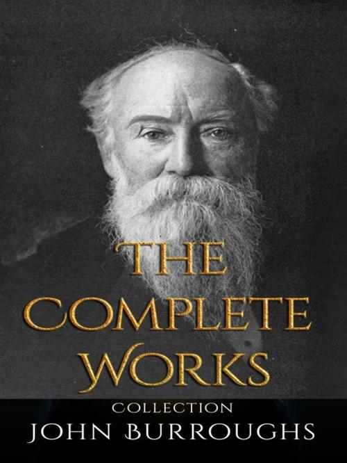 Cover of the book John Burroughs: The Complete Works by John Burroughs, JustinH