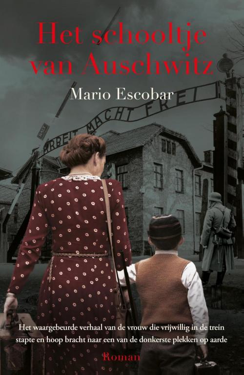 Cover of the book Het schooltje van Auschwitz by Mario Escobar, VBK Media