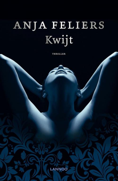 Cover of the book Kwijt by Anja Feliers, Pelckmans uitgevers