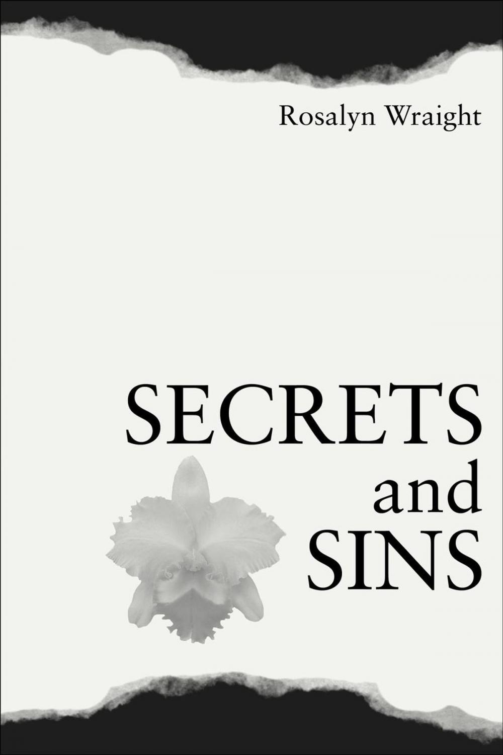 Big bigCover of Secrets and Sins