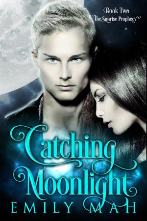 Book cover of Catching Moonlight