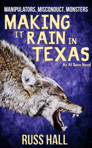 Cover of the book Making It Rain in Texas by Laura Oles