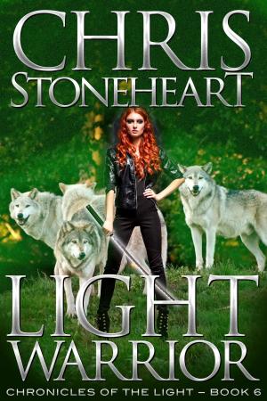 Cover of the book Light Warrior by B. Heather Mantler